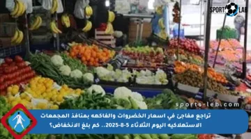 تراجع مفاجئ في أسعار الخضروات والفاكهة بمنافذ المجمعات الاستهلاكية اليوم الثلاثاء 5-8-2025.. كم بلغ الانخفاض؟